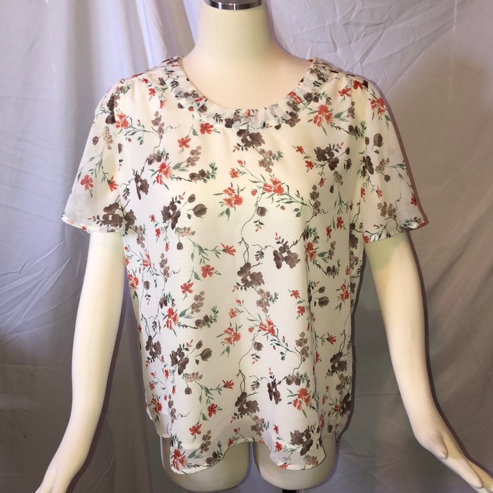 NWT Pleione top